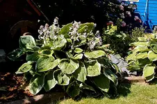 IMGP6749.webp