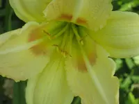 082.webp