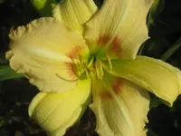 028.webp