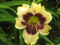 045.webp