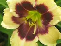 044.webp