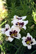 blog_9859-mm.webp