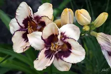 blog_9875-ec.webp