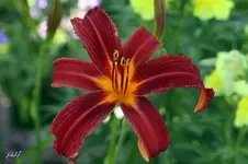 blog_9883-cp.webp