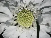 080710 018.webp