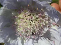 080710 025.webp