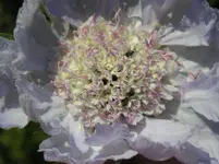 080710 026.webp