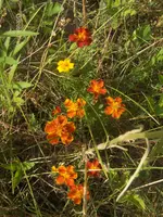HPIM5068.webp