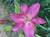 HPIM5064.webp
