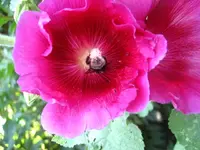 IMG_1809.webp