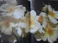 025.webp