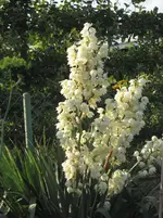 IMG_1823.webp