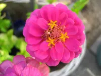 IMG_1827.webp