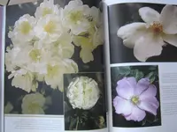 027.webp