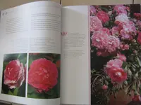 028.webp