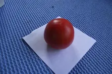 Garten 004.webp