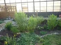 Juli 2010 014.webp