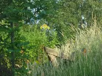 Juli 2010 018.webp