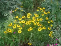 14.07.2010 022.webp