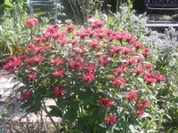14.07.2010 033.webp