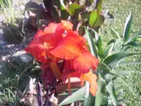 14.07.2010 048.webp