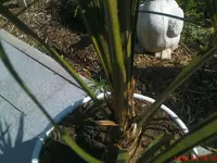DSC00384.webp