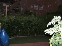 100_2457.webp