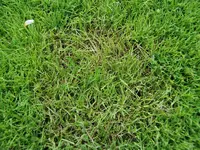 DSC_0076_800x600.webp