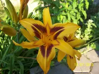 100_2581.webp