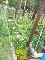 100_2591.webp