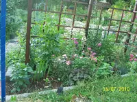 100_2592.webp