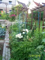 100_2593.webp