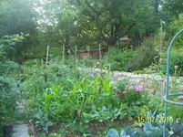 100_2600.webp