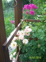 100_2603.webp