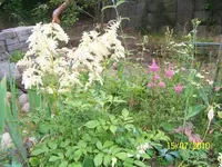 100_2605.webp