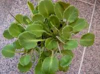 P1020200.webp