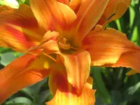 016.webp