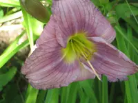 012.webp