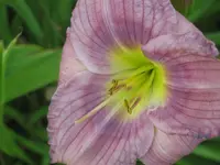 013.webp
