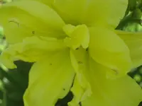 014.webp