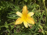 HPIM5076.webp