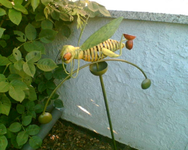 der Grashüpfer 2.webp