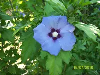 100_1839.webp