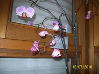 100_1849.webp