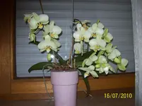 100_1848.webp