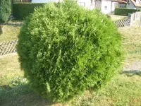 DSCF6721.webp
