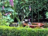 SDC11719.webp