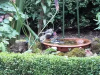 SDC11720.webp