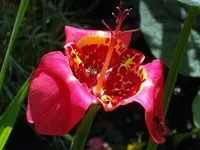 SDC11777.webp