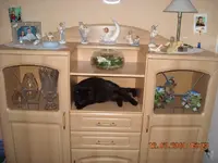 16.07.2010 002.webp
